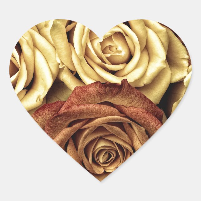 Beautiful Old Roses Heart Sticker (Front)