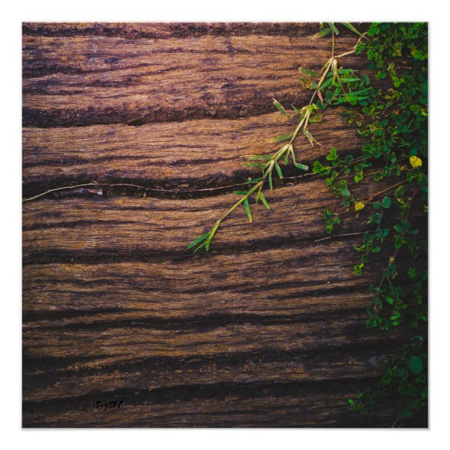 beautiful old wood poster (Front)