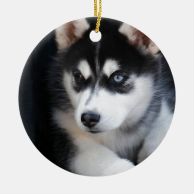 Beautiful One Blue Eye Siberian Husky 2 Ceramic Tree Decoration (Front)