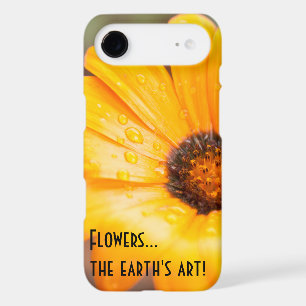 Beautiful Orange African Daisy Photograph Custom