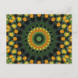 Beautiful Orange and Yellow Lantana Kaleidoscope 1 Postcard