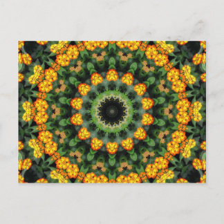 Beautiful Orange and Yellow Lantana Kaleidoscope 2 Postcard