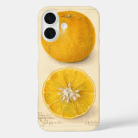 Beautiful Orange Artwork