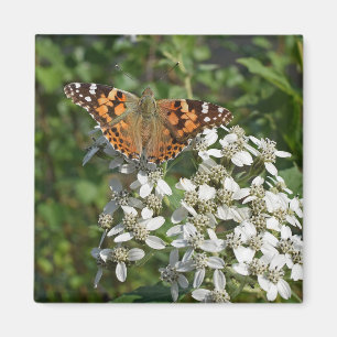 Beautiful Orange Butterfly & White Flowers Magnet