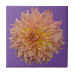 Beautiful orange dahlia ceramic tile