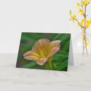 Beautiful Orange Gold Lily Flower Art Note Card