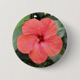 Beautiful Orange Hibiscus Flower Button