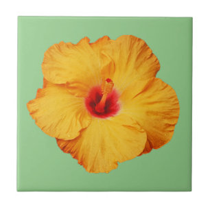 Beautiful orange hibiscus flower ceramic tile
