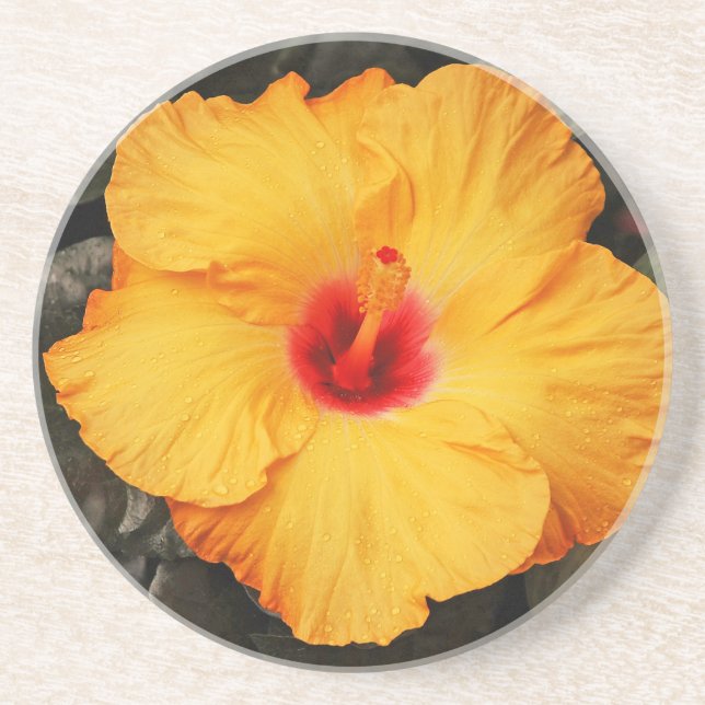Beautiful orange hibiscus flower coaster (Front)