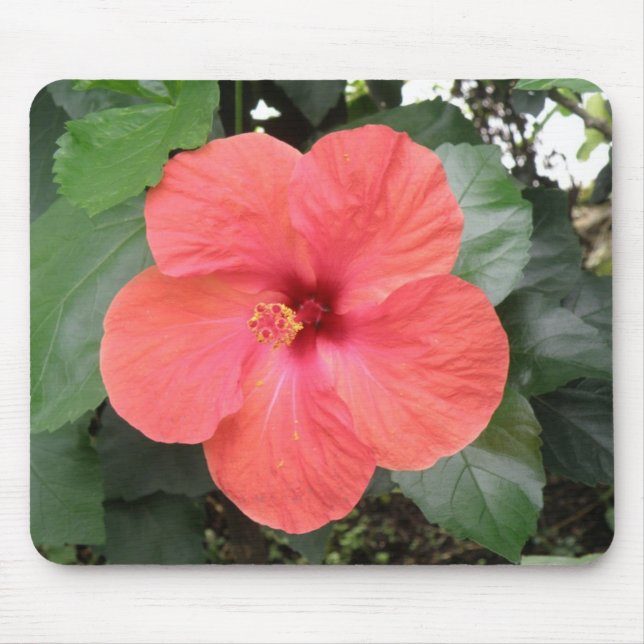 Beautiful Orange Hibiscus Flower Mousepad (Front)