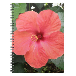 Beautiful Orange Hibiscus Flower Notebook
