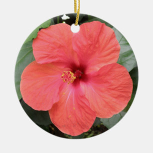 Beautiful Orange Hibiscus Flower Ornaments