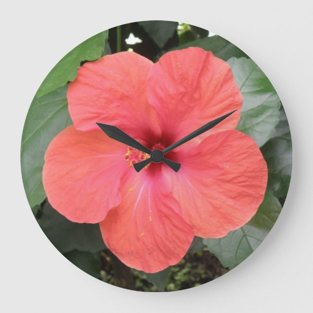 Beautiful Orange Hibiscus Flower Wall Clock (Front)