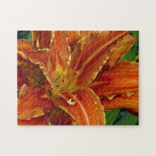 Beautiful orange lily puzzle