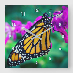 Beautiful orange monarch butterfly close-up photo square wall clock