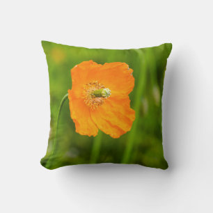 Beautiful Orange Poppy Flower Summer Photo Green Cushion