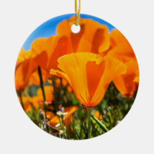 Beautiful Orange Poppy Flowers in a Field Ceramic Ornament