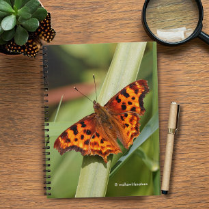 Beautiful Orange Satyr Comma Butterfly Notebook