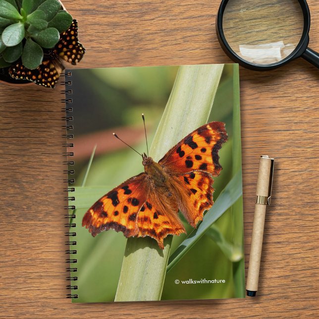 Beautiful Orange Satyr Comma Butterfly Notebook (Orange Comma Satyr Butterfly in the Marsh Journal Cover Photo)