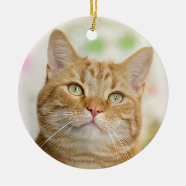 Beautiful Orange Tabby Cat Close Up Ceramic Ornament (Front)