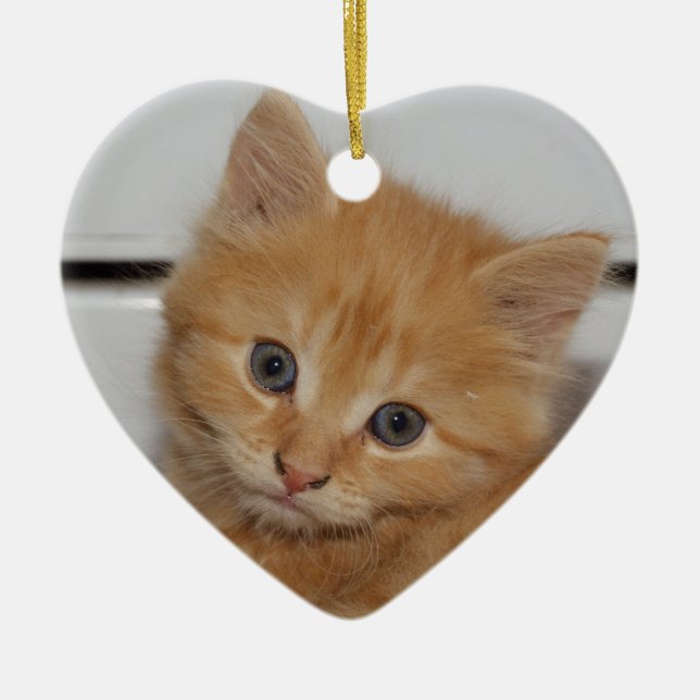 Beautiful Orange Tabby Kitten Ceramic Ornament (Front)