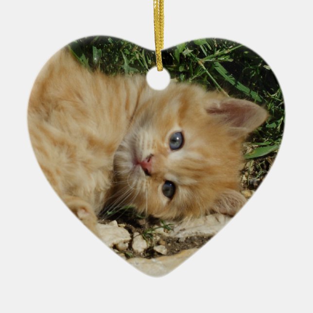 Beautiful Orange Tabby Kitten Ceramic Ornament (Front)