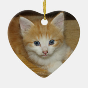 Beautiful Orange Tabby Kitten Ceramic Tree Decoration