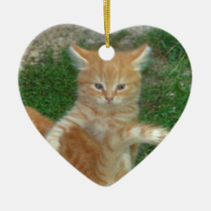 Beautiful Orange Tabby Kitten Ceramic Tree Decoration