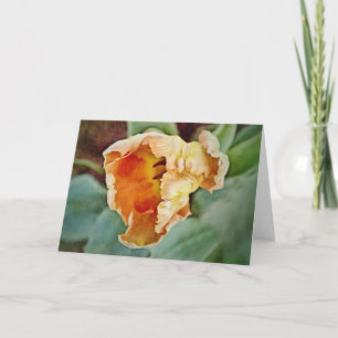 Beautiful Orange Tulip Art Note Card