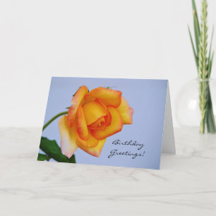Beautiful Orange Yellow Rose Birthday Card