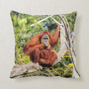 Beautiful Orangutan photo Cushion
