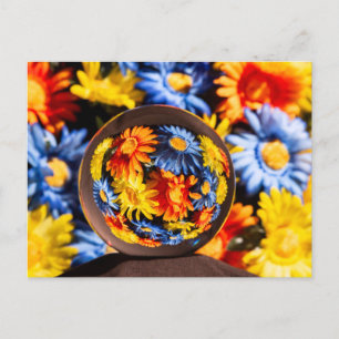 Beautiful Orb Flowers Colours Postcard