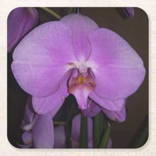 Beautiful Orchid Coaster
