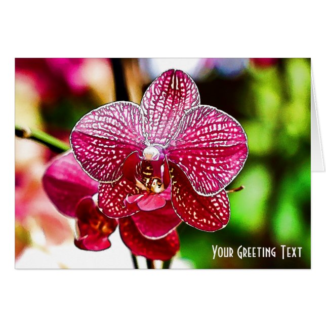 Beautiful Orchid Greeting Card (Front Horizontal)