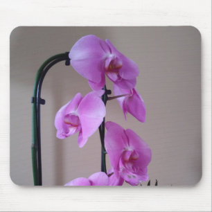 Beautiful Orchid Mouse Mat