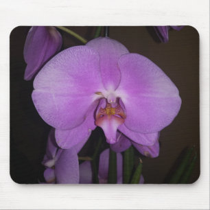 Beautiful Orchid Mouse Pad