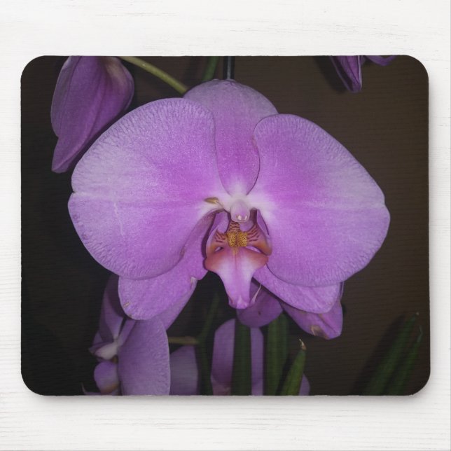 Beautiful Orchid Mouse Pad (Front)