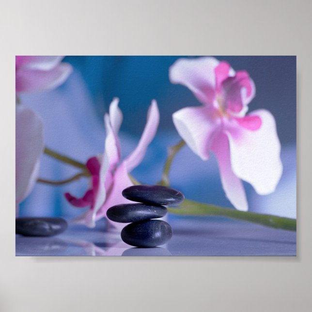 Beautiful Orchid , Zen Stones Poster (Front)