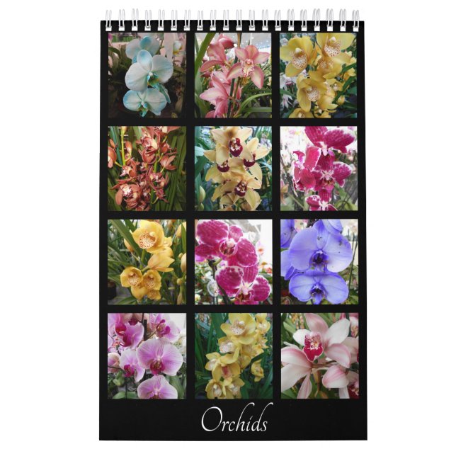 Beautiful Orchids Calendar (Cover)