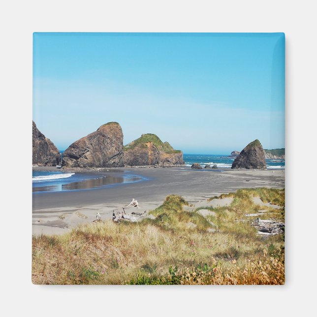 Beautiful Oregon coast landscape        Magnet (Front)