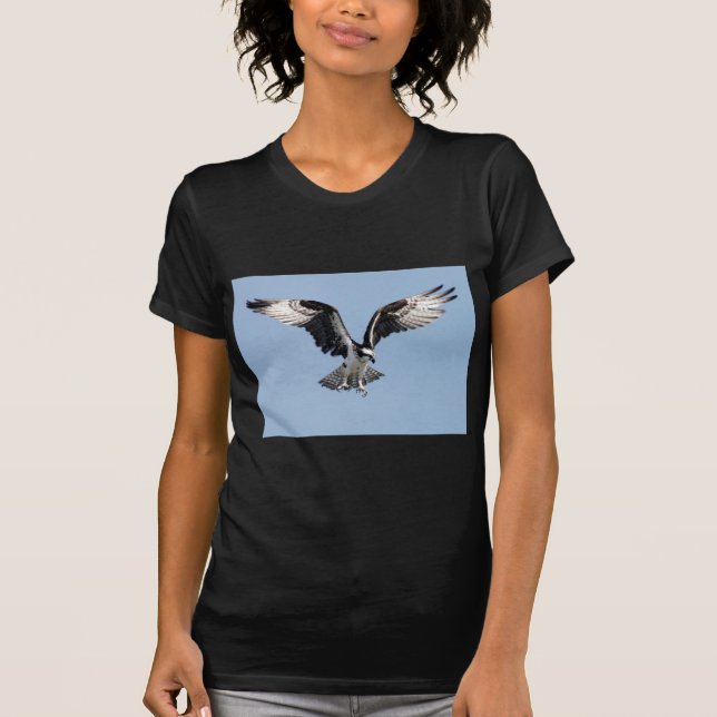 Beautiful Osprey bird Searching for prey T-Shirt (Front)