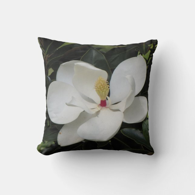 Beautiful Outdoor Scenery Throw Pillow (Front)