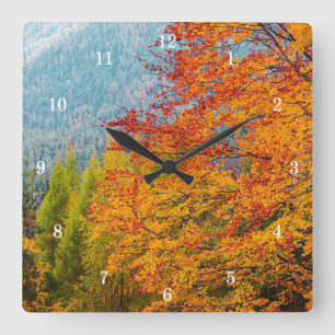 Beautiful Outdoor Scenery Wall Clock