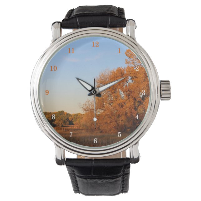 Beautiful Outdoor Scenery Wrist Watch (Front)