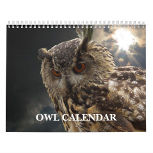 Beautiful Owl Pictures and Images 2027 Calendar