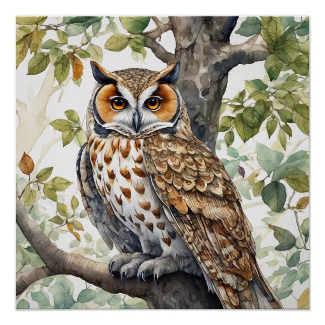Beautiful Owl Sitting on a Tree Branch  Poster (Front)