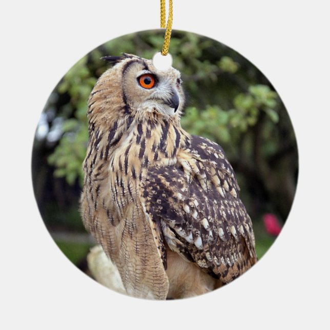 Beautiful Owl Wildlife Photo Gifts Ceramic Ornament (Front)