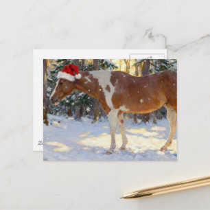 Beautiful Paint Horse Mare Christmas Postcard