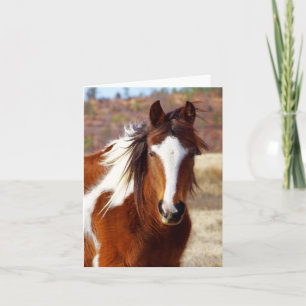 Beautiful Paint Horse Note Cards