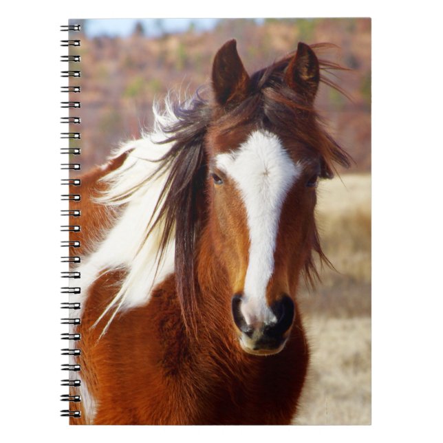 Beautiful Paint Horse Spiral Notebooks (Front)